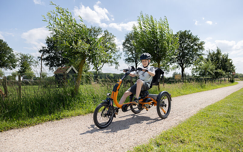 easy rider compact tricycle for kids van raam