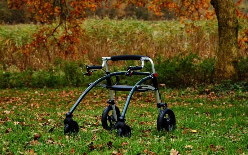 Crocodile AT-R82-Kindergehhilfe