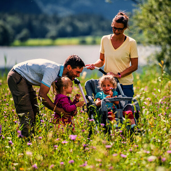 Kimba-Rehakarre-ottobock-FiNiFuchs