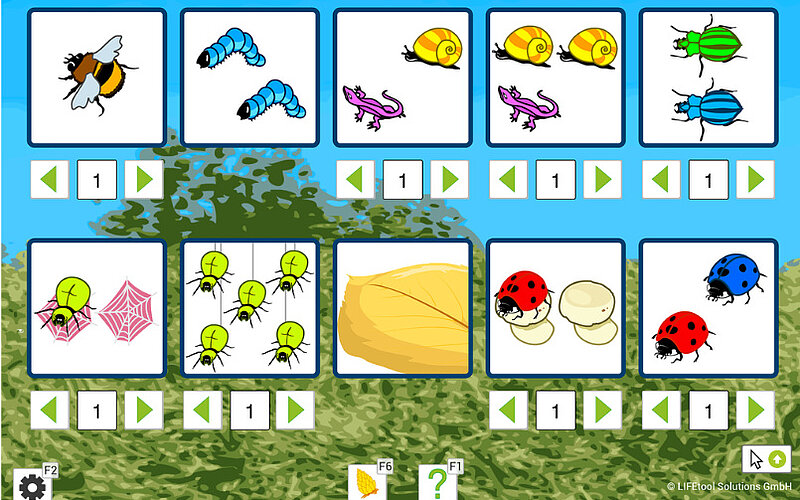 EYE Train Learn1