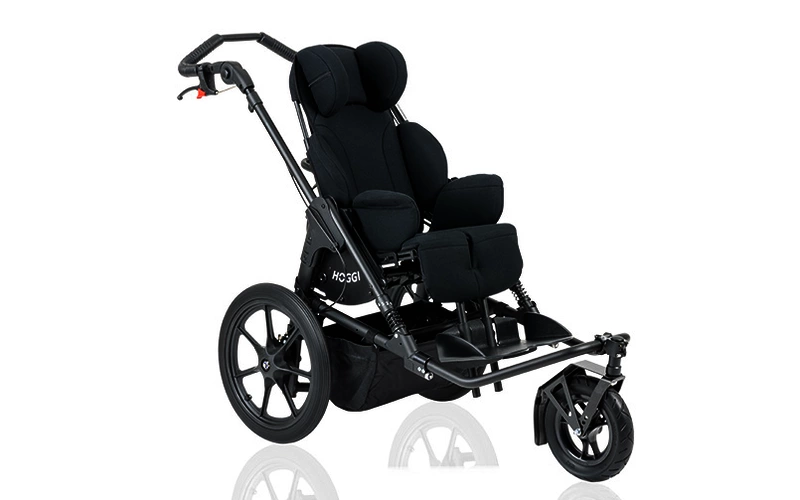 Rehabuggy-FiNiFuchs-Bingo SWITCH Hauptbild