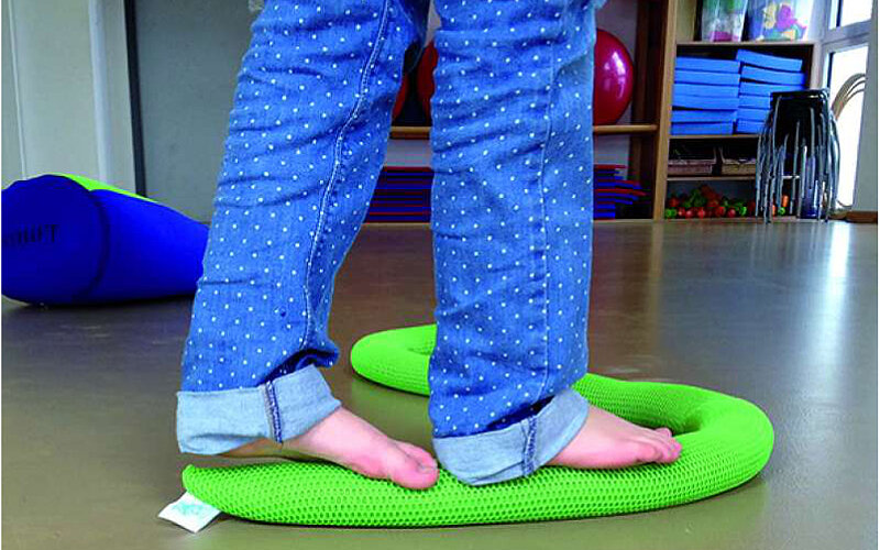 Balanceschlange-FiNiFuchs