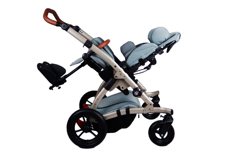 balto Rehabuggy 