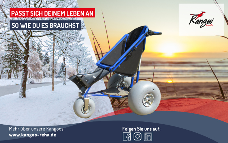 Fahrradanhaenger rehabuggy
