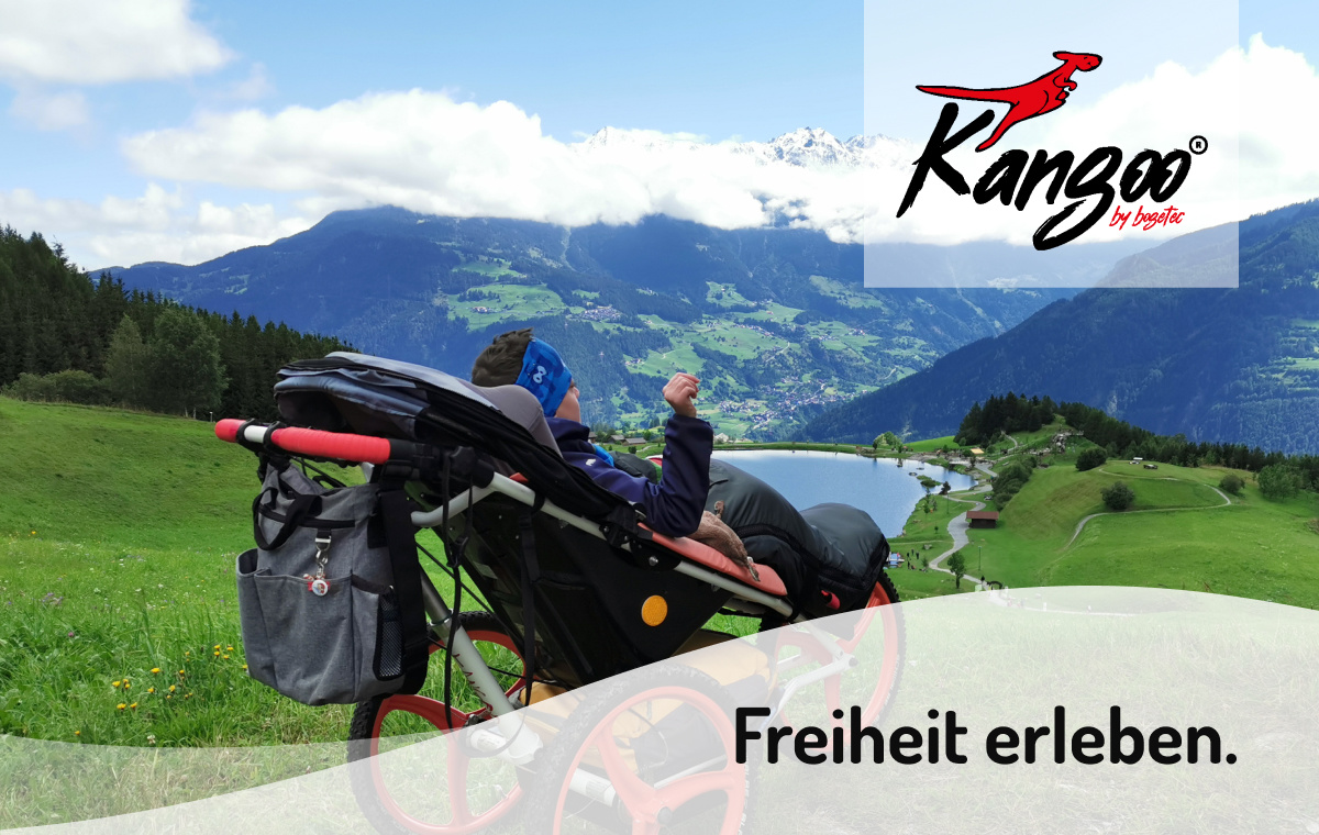 Rehabuggy-FiNiFuchs Fair-Kangoo