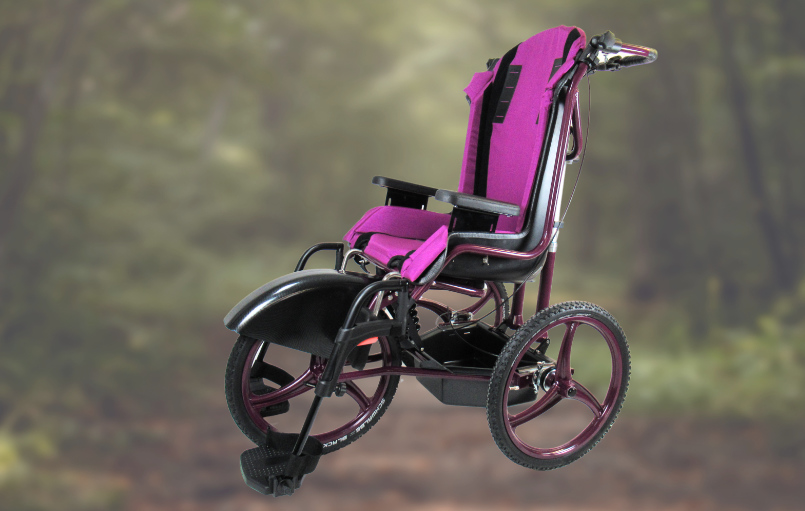 Rehabuggy Largoo
