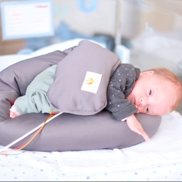 Lagerungsschlange-FiNiFuchs-Fruehchen