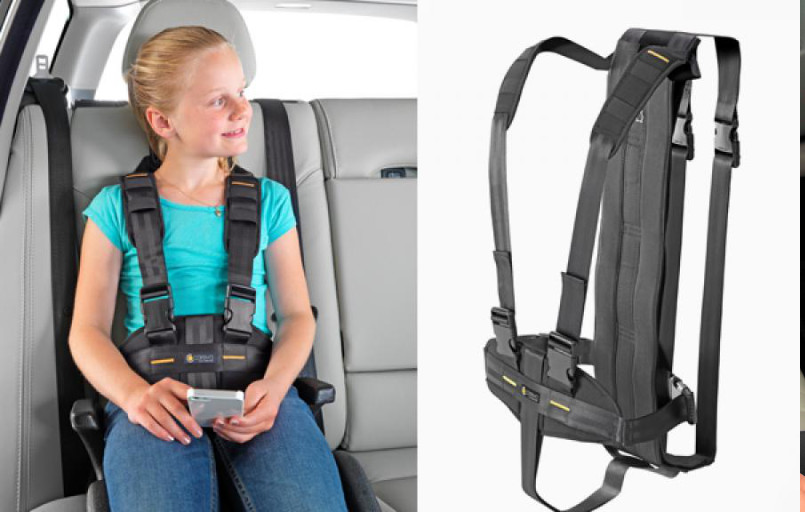 Careva Kombi Kit Reha Gurtsystem FiNiFuchs Careva Kombi Kit Reha Gurtsystem FiNiFuchs