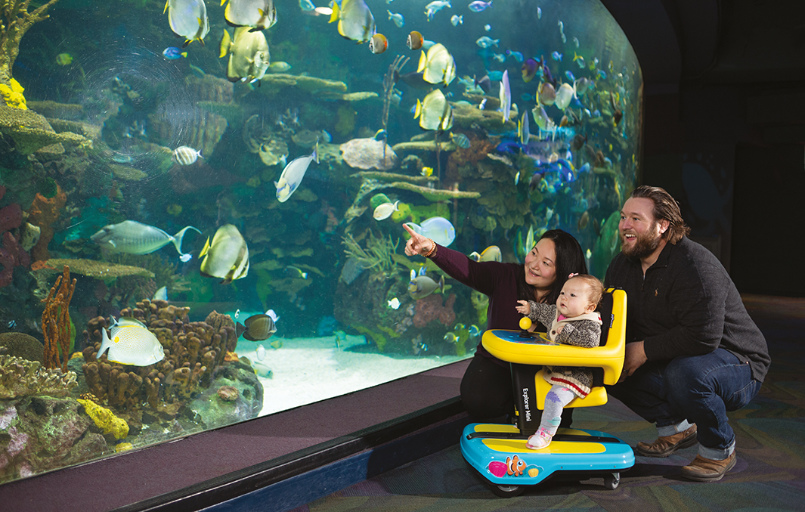 Explorer Mini_FiNiFuchs Permobil Kinderrollstuhl