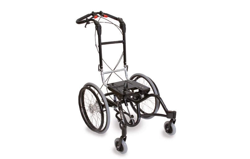 JOSI‐Wismi‐guppy