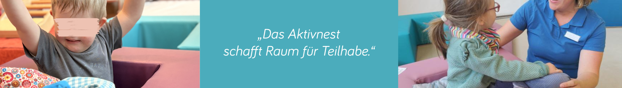 Aktivnest Aktivnest