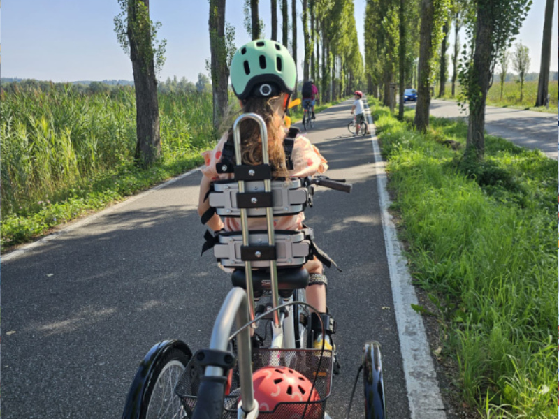 FOXG1-FiNiFuchs FOXG1-FiNiFuchs